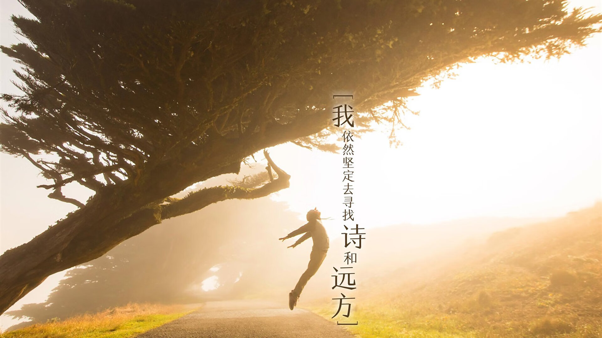 【费城队的韧性】伤兵满营依旧保持竞争力,费城队队标